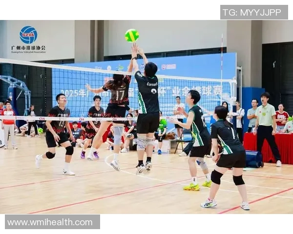 广州排球队总决赛精彩表现分析与未来展望