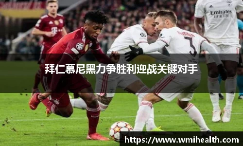 bsports必一体育